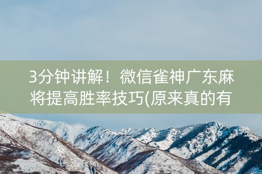 3分钟讲解！微信雀神广东麻将提高胜率技巧(原来真的有挂呢)