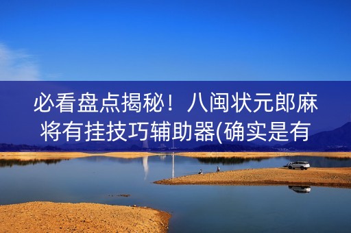 必看盘点揭秘！八闽状元郎麻将有挂技巧辅助器(确实是有挂的)