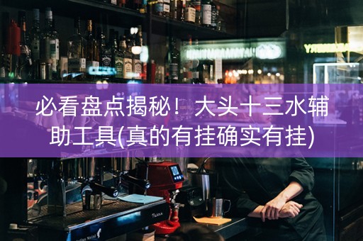 必看盘点揭秘！大头十三水辅助工具(真的有挂确实有挂)