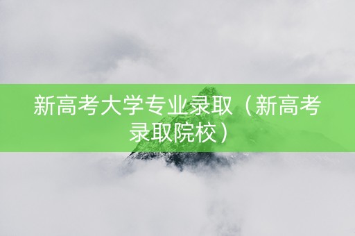新高考大学专业录取（新高考录取院校）