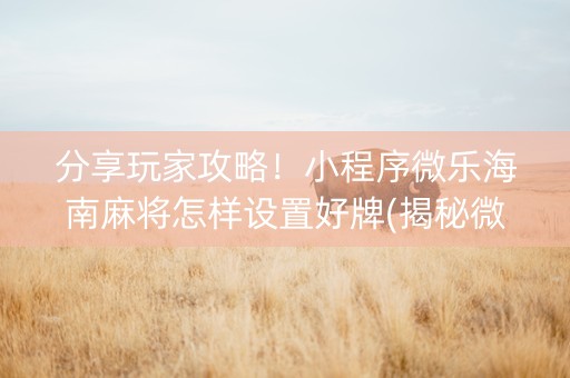 分享玩家攻略！小程序微乐海南麻将怎样设置好牌(揭秘微信里提高赢的概率)