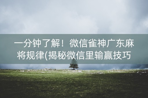 一分钟了解！微信雀神广东麻将规律(揭秘微信里输赢技巧)