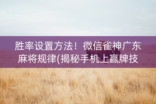 胜率设置方法！微信雀神广东麻将规律(揭秘手机上赢牌技巧)