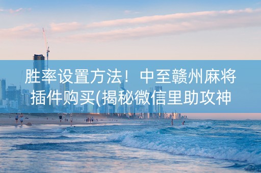 胜率设置方法！中至赣州麻将插件购买(揭秘微信里助攻神器)