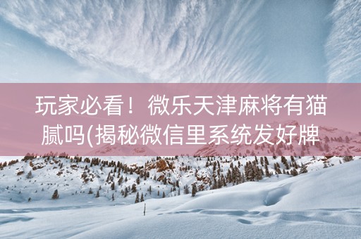 玩家必看！微乐天津麻将有猫腻吗(揭秘微信里系统发好牌)