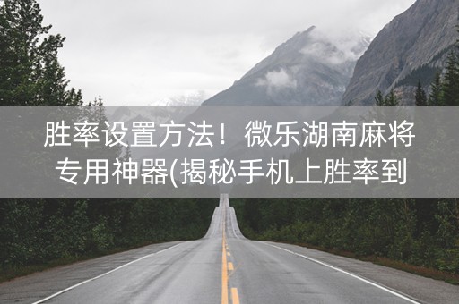 胜率设置方法！微乐湖南麻将专用神器(揭秘手机上胜率到哪调)