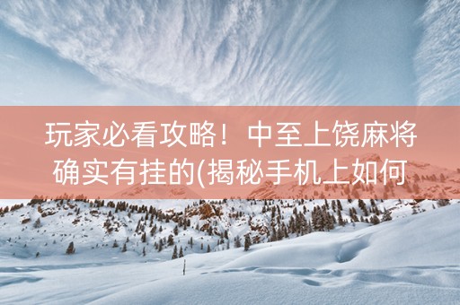 玩家必看攻略！中至上饶麻将确实有挂的(揭秘手机上如何让牌变好)