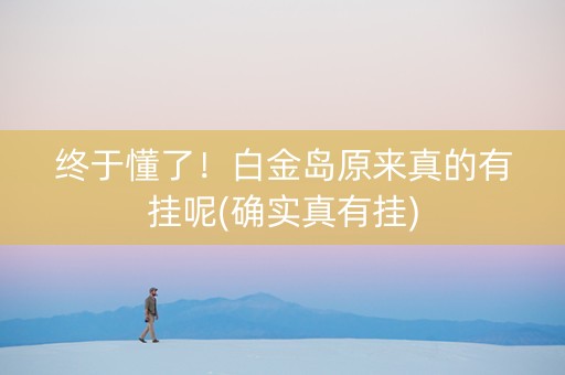 终于懂了！白金岛原来真的有挂呢(确实真有挂)