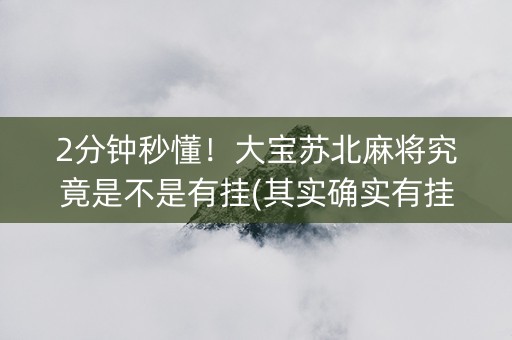 2分钟秒懂！大宝苏北麻将究竟是不是有挂(其实确实有挂)