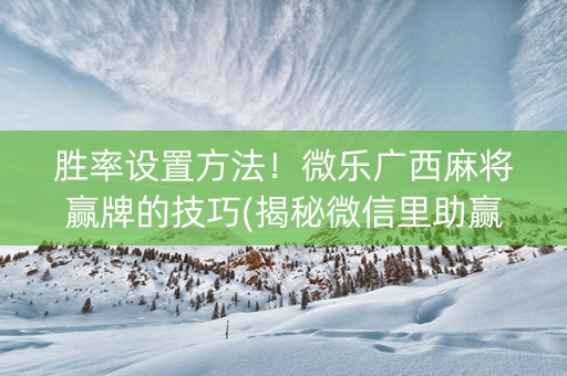 胜率设置方法！微乐广西麻将赢牌的技巧(揭秘微信里助赢神器)