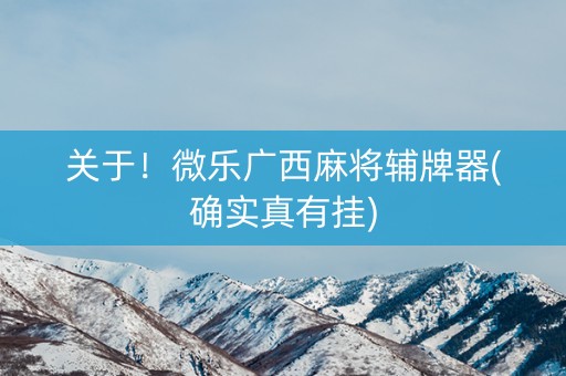 关于！微乐广西麻将辅牌器(确实真有挂)