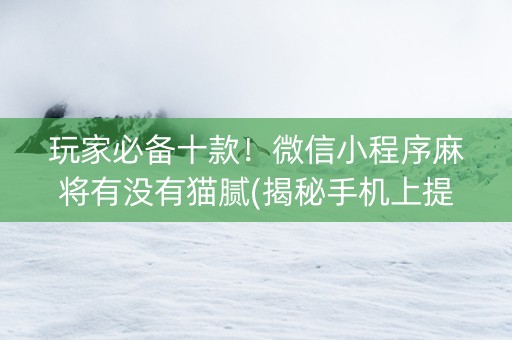 玩家必备十款！微信小程序麻将有没有猫腻(揭秘手机上提高胜率)