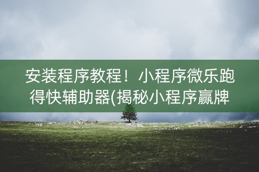 安装程序教程！小程序微乐跑得快辅助器(揭秘小程序赢牌技巧)