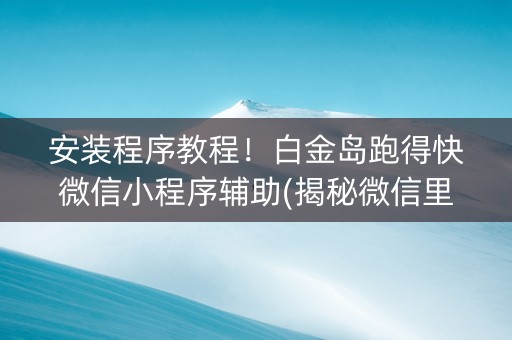 安装程序教程！白金岛跑得快微信小程序辅助(揭秘微信里规律攻略)