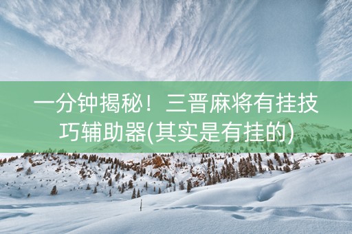 一分钟揭秘！三晋麻将有挂技巧辅助器(其实是有挂的)
