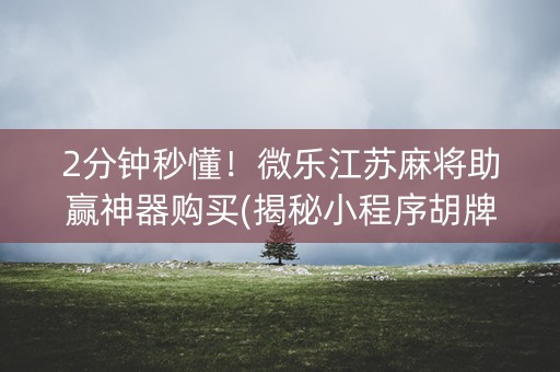 2分钟秒懂！微乐江苏麻将助赢神器购买(揭秘小程序胡牌技巧)