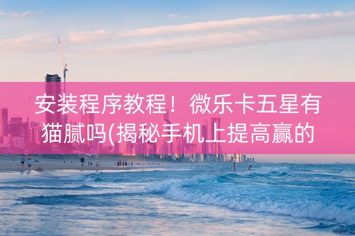安装程序教程！微乐卡五星有猫腻吗(揭秘手机上提高赢的概率)