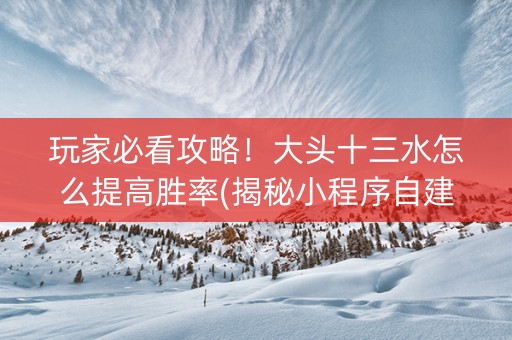 玩家必看攻略！大头十三水怎么提高胜率(揭秘小程序自建房怎么赢)
