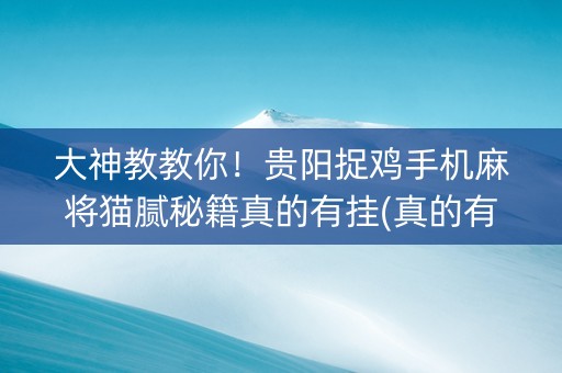 大神教教你！贵阳捉鸡手机麻将猫腻秘籍真的有挂(真的有挂确实有挂)