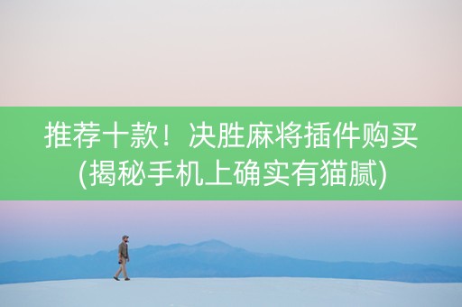 推荐十款！决胜麻将插件购买(揭秘手机上确实有猫腻)