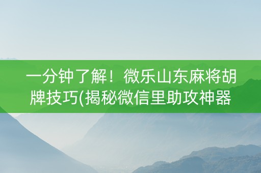 一分钟了解！微乐山东麻将胡牌技巧(揭秘微信里助攻神器)
