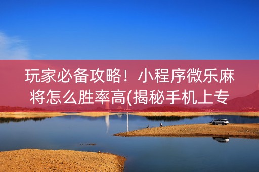 玩家必备攻略！小程序微乐麻将怎么胜率高(揭秘手机上专用神器下载)