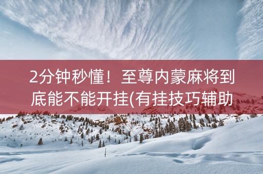 2分钟秒懂！至尊内蒙麻将到底能不能开挂(有挂技巧辅助器)