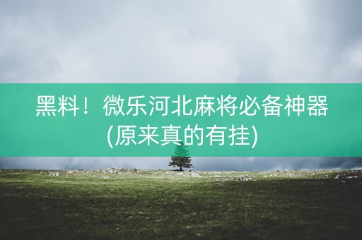 黑料！微乐河北麻将必备神器(原来真的有挂)