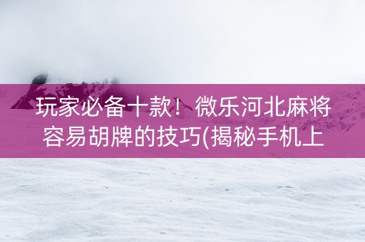 玩家必备十款！微乐河北麻将容易胡牌的技巧(揭秘手机上赢的秘诀)