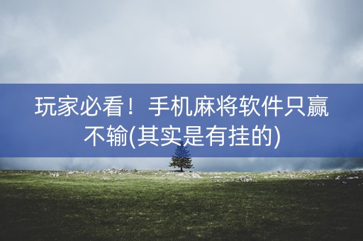 玩家必看！手机麻将软件只赢不输(其实是有挂的)