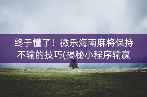 终于懂了！微乐海南麻将保持不输的技巧(揭秘小程序输赢规律)