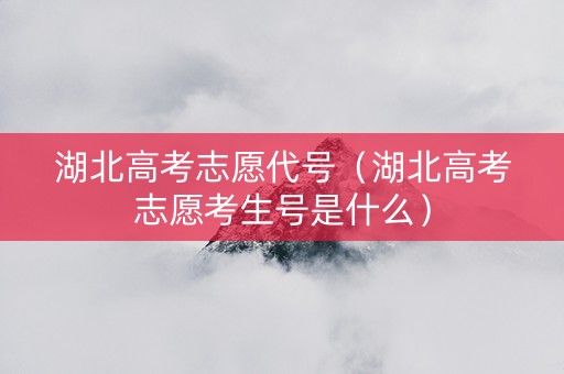 湖北高考志愿代号（湖北高考志愿考生号是什么）