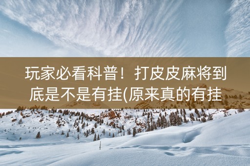 玩家必看科普！打皮皮麻将到底是不是有挂(原来真的有挂)