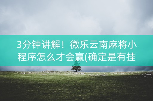 3分钟讲解！微乐云南麻将小程序怎么才会赢(确定是有挂)