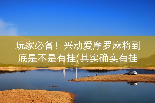 玩家必备！兴动爱摩罗麻将到底是不是有挂(其实确实有挂)