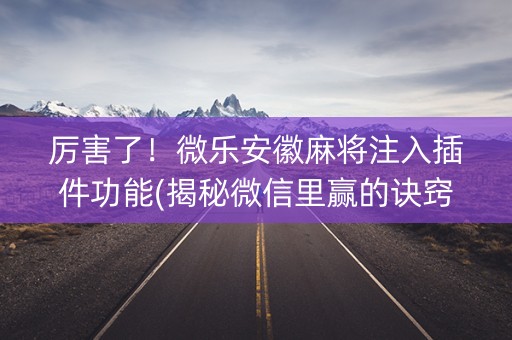 厉害了！微乐安徽麻将注入插件功能(揭秘微信里赢的诀窍)