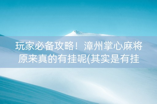 玩家必备攻略！漳州掌心麻将原来真的有挂呢(其实是有挂确实有挂)
