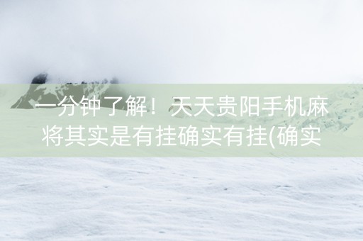一分钟了解！天天贵阳手机麻将其实是有挂确实有挂(确实是有挂)