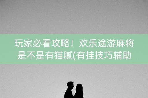 玩家必看攻略！欢乐途游麻将是不是有猫腻(有挂技巧辅助器)