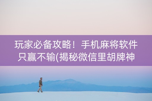 玩家必备攻略！手机麻将软件只赢不输(揭秘微信里胡牌神器)