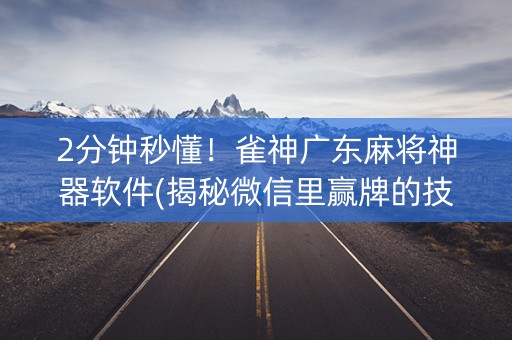 2分钟秒懂！雀神广东麻将神器软件(揭秘微信里赢牌的技巧)