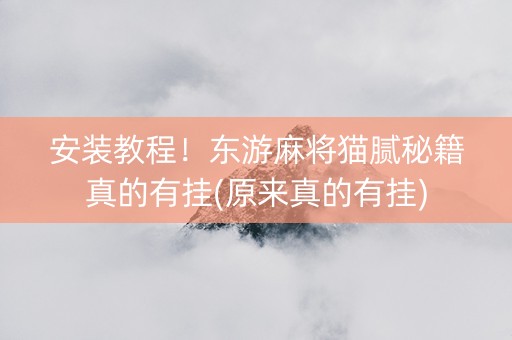 安装教程！东游麻将猫腻秘籍真的有挂(原来真的有挂)