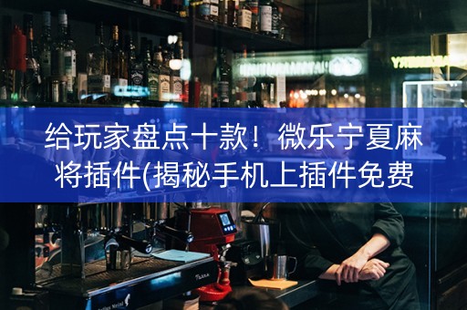 给玩家盘点十款！微乐宁夏麻将插件(揭秘手机上插件免费)