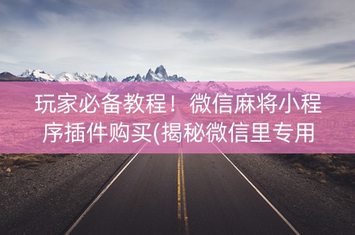 玩家必备教程！微信麻将小程序插件购买(揭秘微信里专用神器下载)