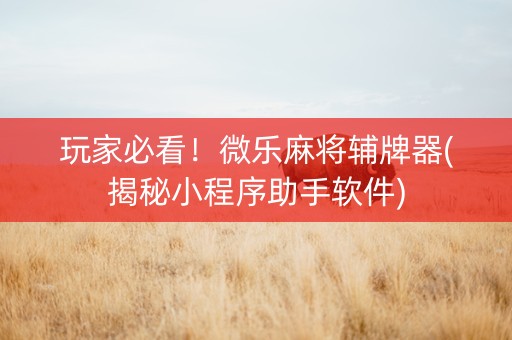 玩家必看！微乐麻将辅牌器(揭秘小程序助手软件)