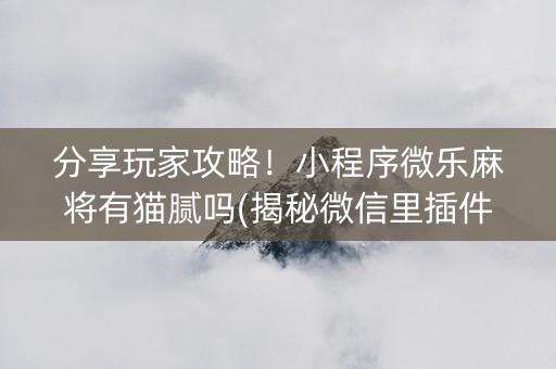 分享玩家攻略！小程序微乐麻将有猫腻吗(揭秘微信里插件下载)