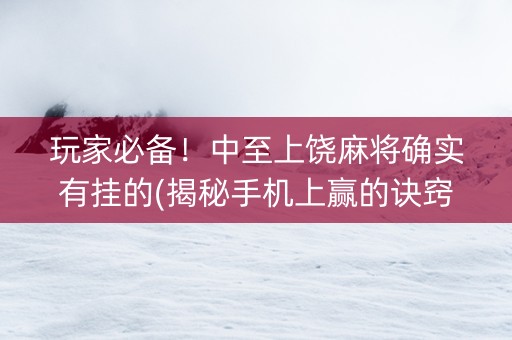 玩家必备！中至上饶麻将确实有挂的(揭秘手机上赢的诀窍)