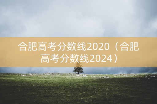 合肥高考分数线2020（合肥高考分数线2024）