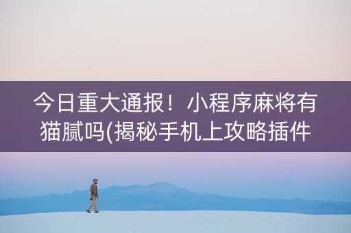 今日重大通报！小程序麻将有猫腻吗(揭秘手机上攻略插件)