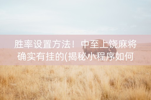 胜率设置方法！中至上饶麻将确实有挂的(揭秘小程序如何让牌变好)